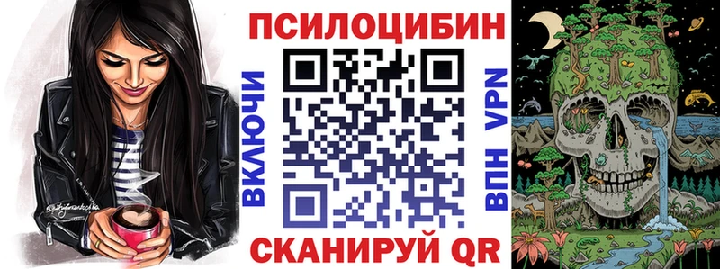 где купить наркоту  Губаха  Галлюциногенные грибы MAGIC MUSHROOMS 